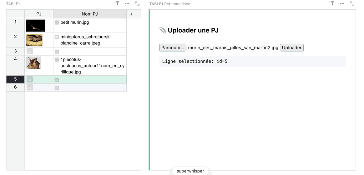 Upload from widget